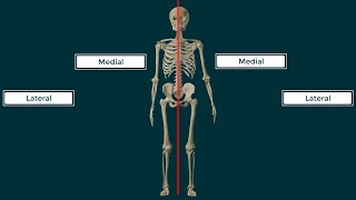 Términos Direccionales en Anatomía