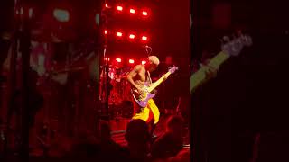 Download lagu Red Hot Chili Peppers - By The Way #redhotchilipeppers mp3