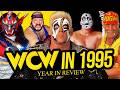 YEAR IN REVIEW WCW In 1995 Full Year Documentary