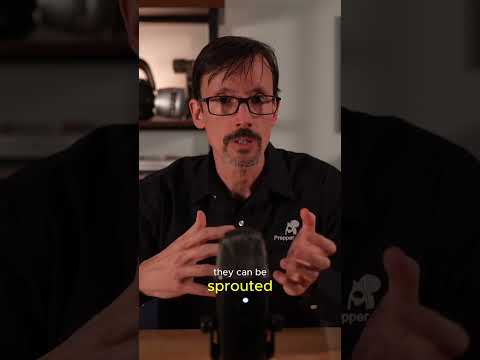 Why wheat berries belong in every prepper's food storage #prepper