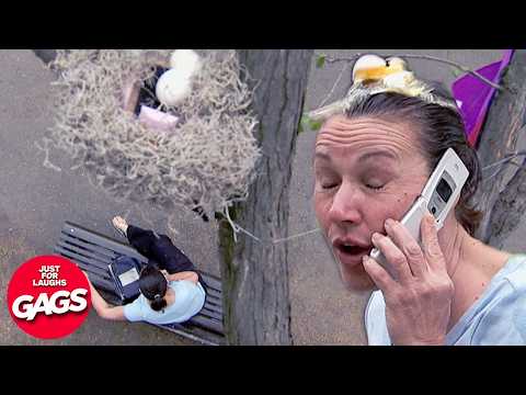 Best Of Elaborate Pranks 🍳  | Just For Laughs Gags