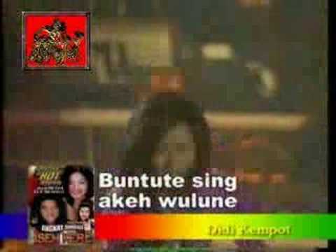 Didi & Inul - Cucak Rowo