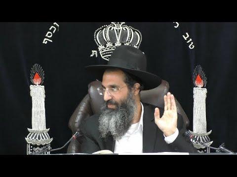 בין המצרים - הלכות ומנהגים | הרב שי עובד | שני - פרשת פנחס - תשפד