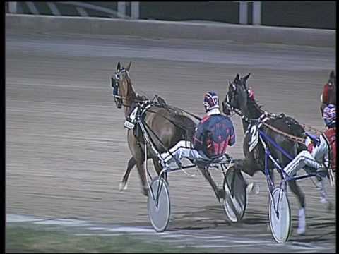 Trotto 24/01/2017 - 7ª corsa