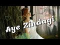 Aye zindagi ye bata kya mila kya kho diya full song with lyrics