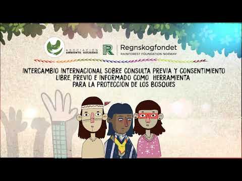 Día  3: Estrategias de consulta y factores de éxito