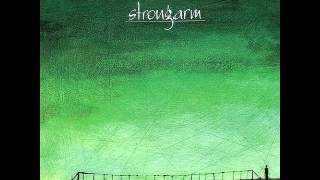 Strongarm - Division