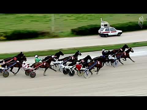 Aversa trotto 9 Gennaio 2021 - 2° Corsa