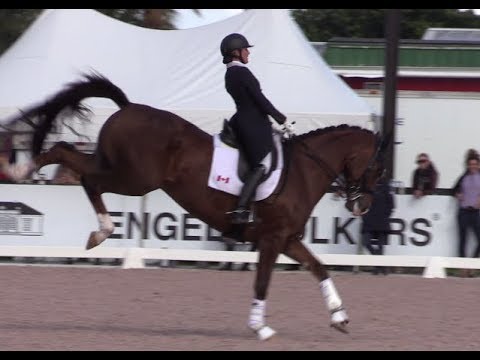 Savage Abuse: Ben Talbot VS Brittany Fraser - Where is the line?