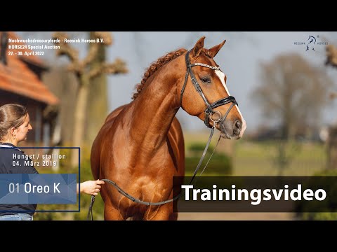 Special Auction Reesink Horses Training Lot 1 Oreo K Hengst v. Vivaldi - Rousseau