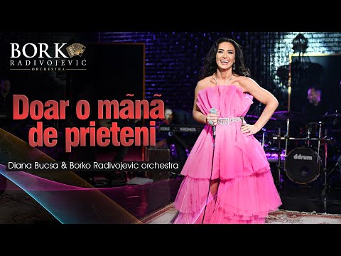 Diana Bucsa & Borko Radivojevic orchestra - Doar o mânã de prieteni