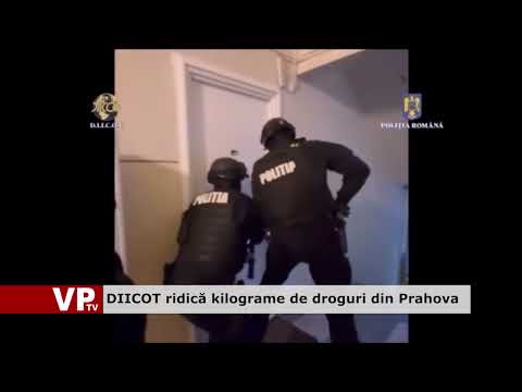 DIICOT ridică kilograme de droguri din Prahova