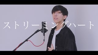 [cover] ストリーミングハート / PARED