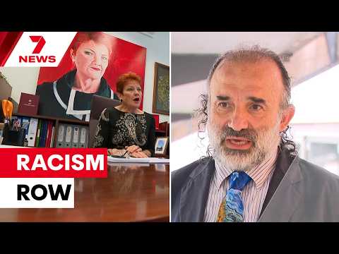 Pauline Hanson’s comments on Lakemba met with disgust in Sydney’s Islamic community | 7NEWS