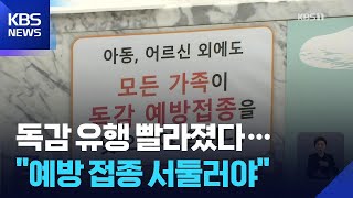 독감 유행 97%가 ‘K 변이’…질병청 “백신 유효, 접종이 최선” / KBS  2025.11.25.