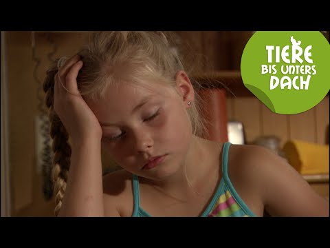 Ausgeschlafen? - Die lustigsten Szenen | Tiere bis unters Dach