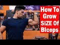 How To Grow SIZE of Biceps | Workout & Tips