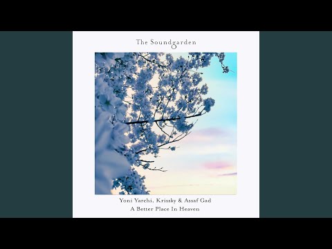 A Better Place In Heaven (Nick Warren & Nicolas Rada Remix)