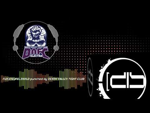 Desastroes - FUXXTEUFELZWILD punched by DEATH VALLEY FIGHT CLUB (Lyric Video)