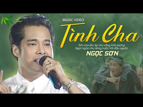 Cha Hỡi, Cha Già Dấu Yêu... Tình Cha - Ngọc Sơn | Khóc Cạn Nước Mắt khi nghe Tình Cha của Ngọc Sơn