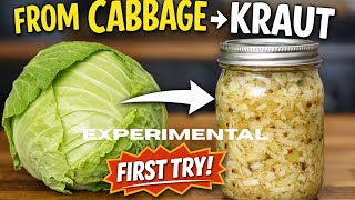 Finally I Tried Fermenting... My First Sauerkraut 2026