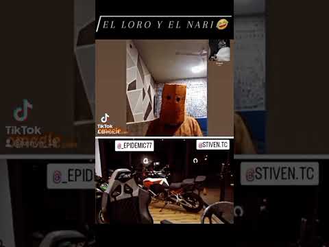 #gerrillatc #mrstiven #parati #viral #amarella #epidemic #loro #freefire #sigueme #tiktok #fyp