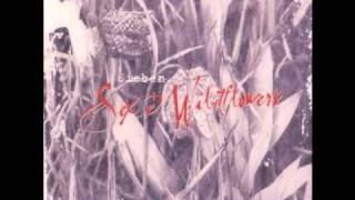 Sieben - John in the Pulpit