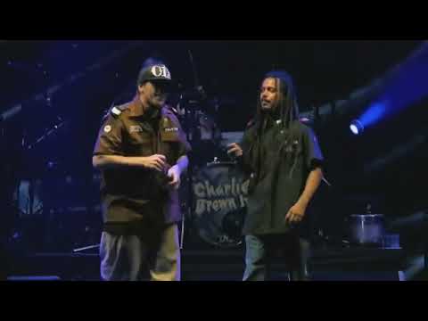 Charlie Brown Jr, Marcelo Falcão - Não é Sério (Ao Vivo)