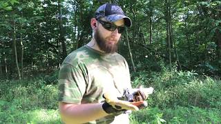 Mechanic Mpact - Best all around Gloves!