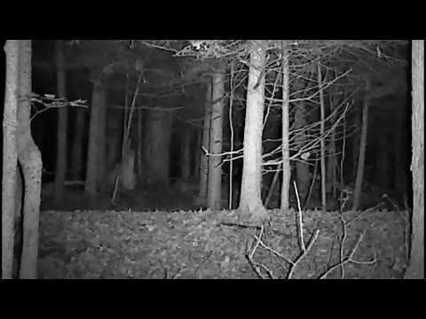 5 Unheimliche Nacht-Aufnahmen Von Campern