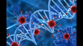 ÁCIDOS NUCLEICOS - CLASE COMPLETA - ADN - ARN - NUCLEOTIDOS - NUCLEOSIDOS