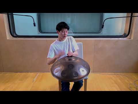 Shoun Lee on a Taopan Handpan G2 "Taoleo" / PaloSanto / STL