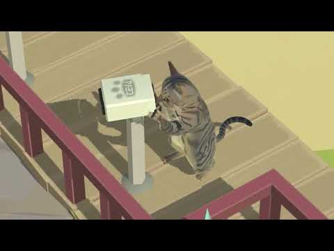 Kitty Cat Resort Video