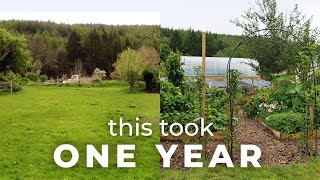 Garden Transformation: A Year in Review + Plans for 2023 🌱