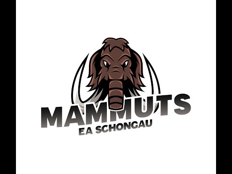 EAS Teambuilding "Paintball"