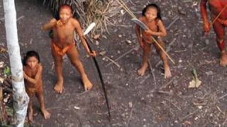 Uncontacted Amazon Tribe: First ever aerial footage