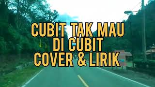 Download lagu CUBIT TAK MAU DI CUBIT - NELLY AGUSTIN | Cover   Lirik | NOVI ARTIKA mp3