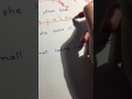 Diagramming Direct Objects Predicate Nominatives Predicate Adjectives