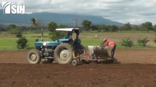 Productores de habichuelas de San Juan con el grito al cielo