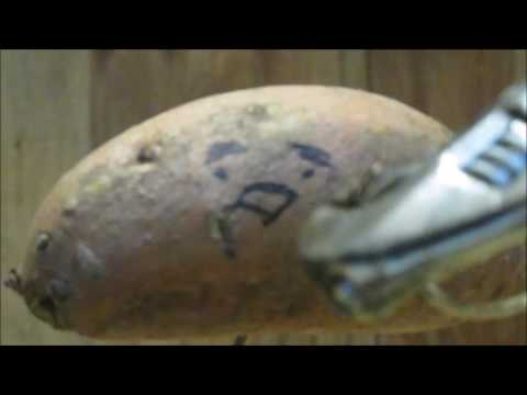 10,000 Volt Jacob's Ladder and Potato Frying