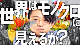 色の語彙が2個しかないと、世界はどう見える？