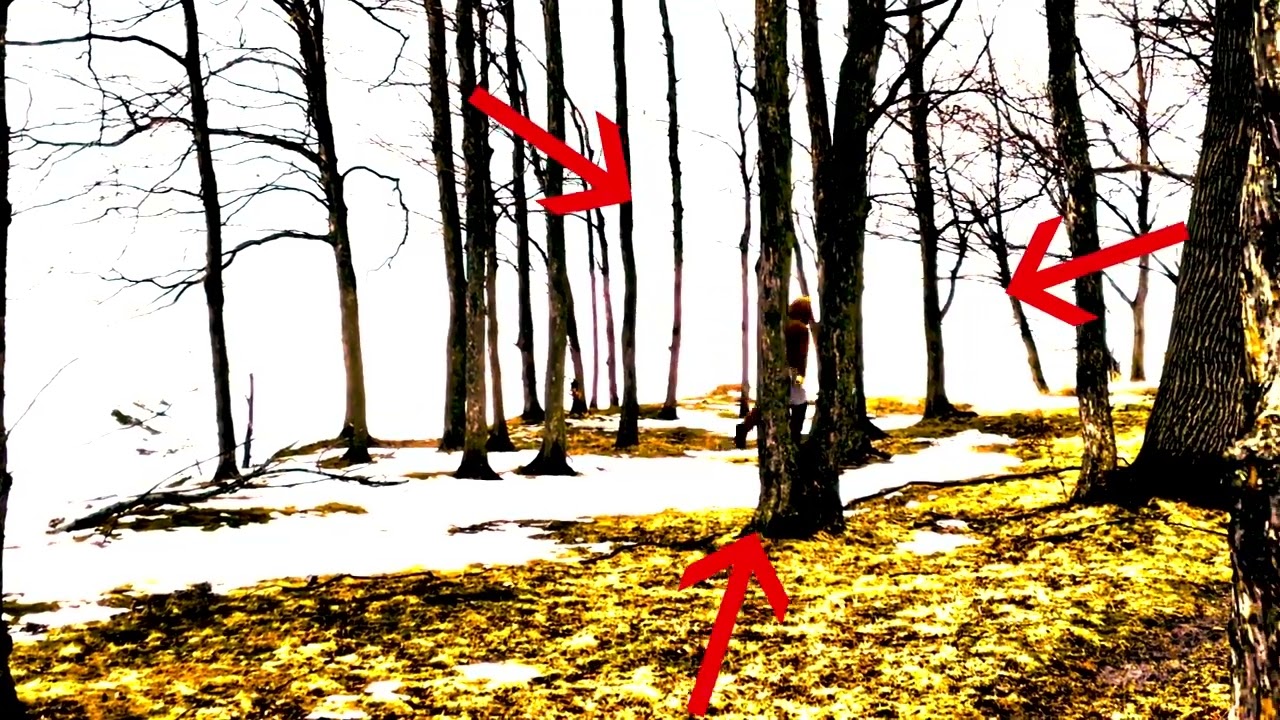 BigFoot SPOTTED!!!! (NOT CLICKBAIT)