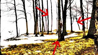 BigFoot SPOTTED!!!! (NOT CLICKBAIT)