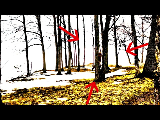 BigFoot SPOTTED!!!! (NOT CLICKBAIT)