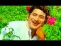 Gajula Kishtayya Songs Navvulu Ruvve Krishna Zarina Wahab HD