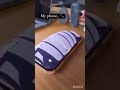 New Year Wishes Be Like Funny Relatable Ytshorts Comedy Shortvideo Trending Indian Shorts