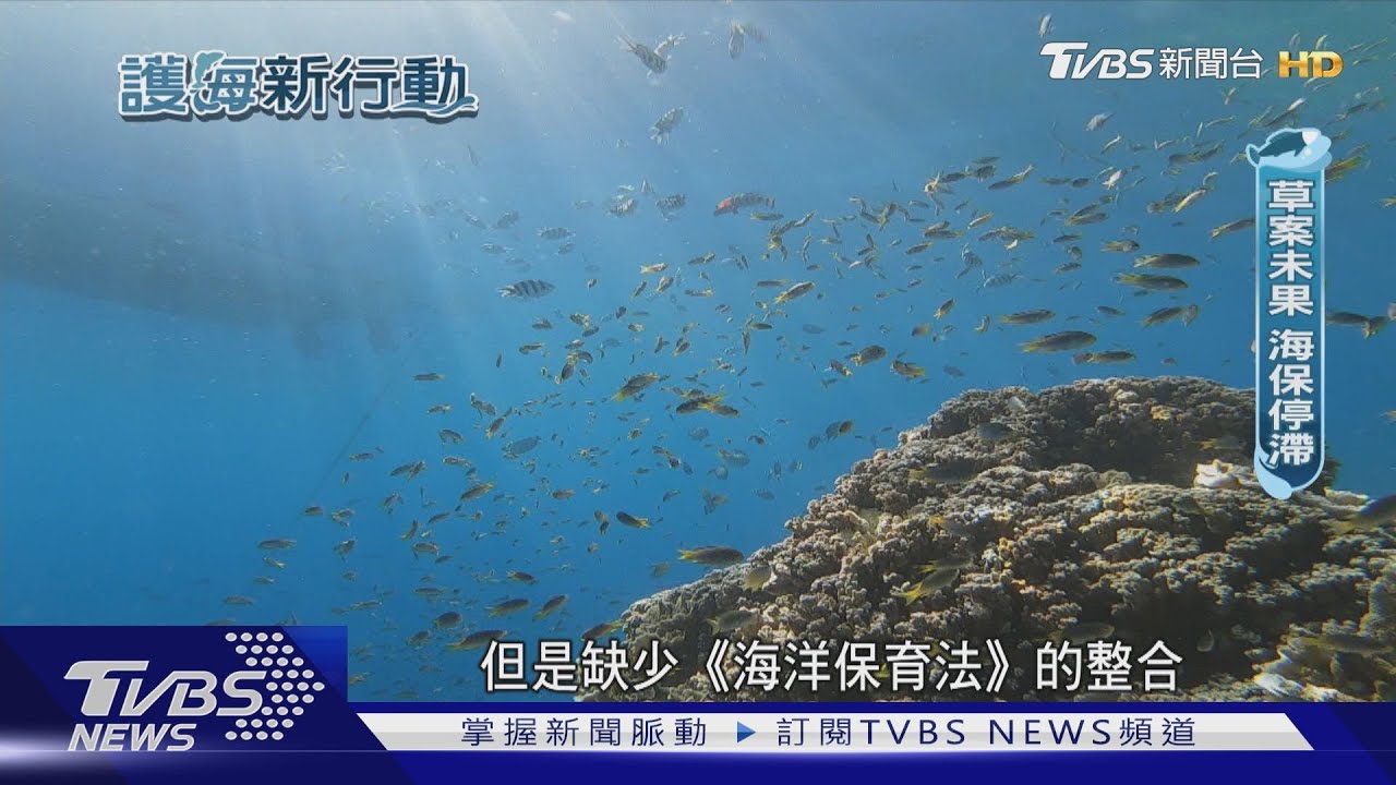 《海保法》過期三年!海洋保育淪為空談?