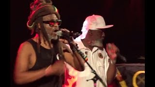Steel Pulse - Taxi Driver [2019]