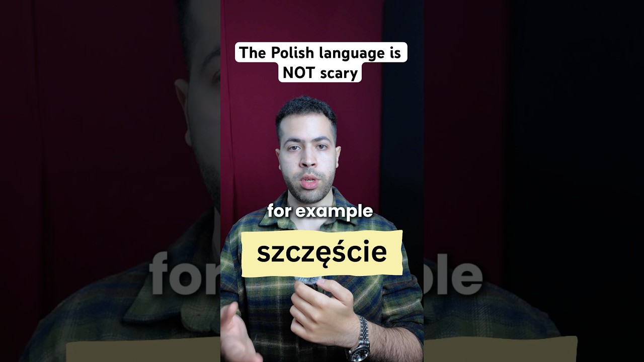 The Polish language is EASY to learn #polish #poland #funny