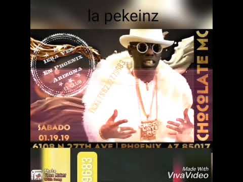 Chocolate M-C en Phoenix AZ